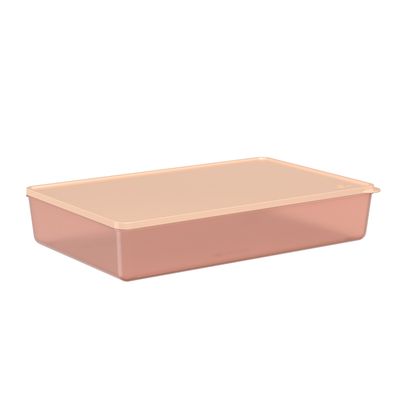 POTE-BASIC-26L-ROSA-BLUSH---ROSA-TRANSLUCIDO-BRINOX-1735667