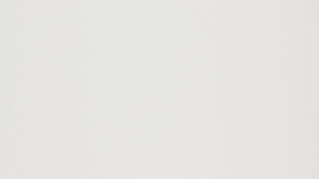 Revestimento-Forma-Acetinado-Bold-Esmaltado-335x60cm--Caixa-c--221m²--Branco-Eliane-1807498