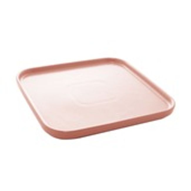 Conjunto-2-Pratos-de-Porcelana-Nordica-21X21X2cm-Rosa-Matt-2347067