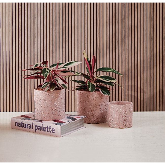 Cachepot-em-cimento-M-Mart-2364301