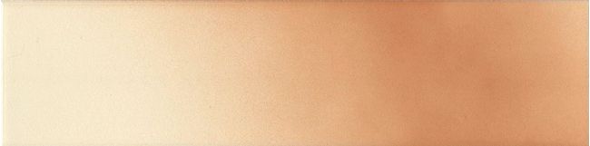 Revest-terracota-salmon-256x65-extra-cx207-2380528