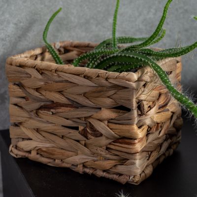 Cesta-14x11cm-Grass-Coisas--Coisinhas-1750607