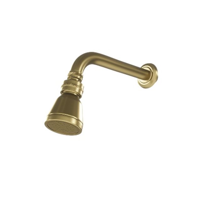 Chuveiro-articulado-parede-3000-dv53-2399687