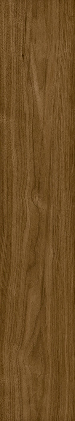 Piso Retificado Texas Plus Liso Acetinado 20X120 2,18m² Lume