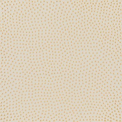 Revestimento-Raia-Bege-29X29-Acetinado-Caixa-9-Pecas-Decortiles-2436027