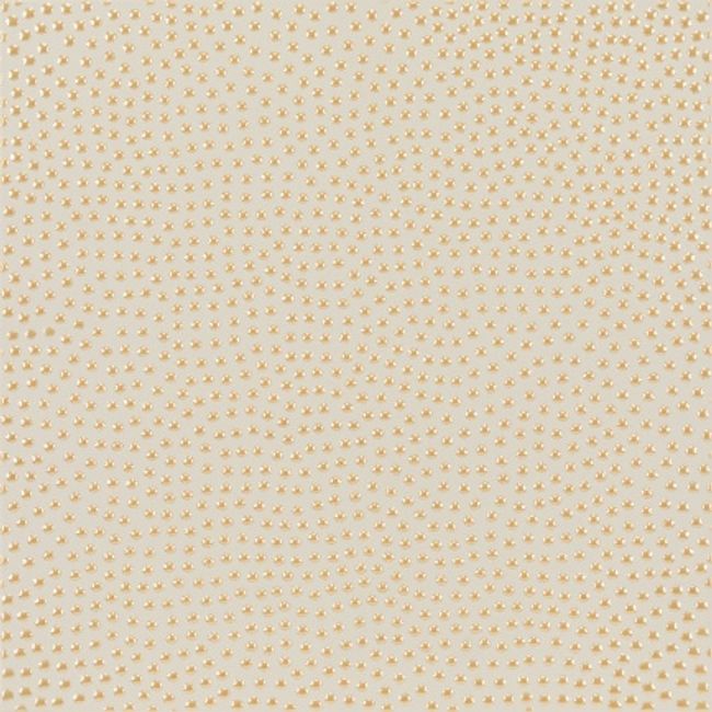 Revestimento-Raia-Bege-29X29-Acetinado-Caixa-9-Pecas-Decortiles-2436027
