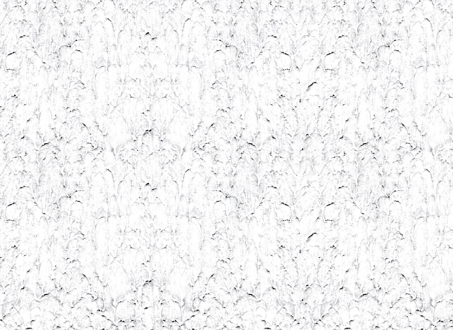 Textura lisa branca Universo balde preto 25kg