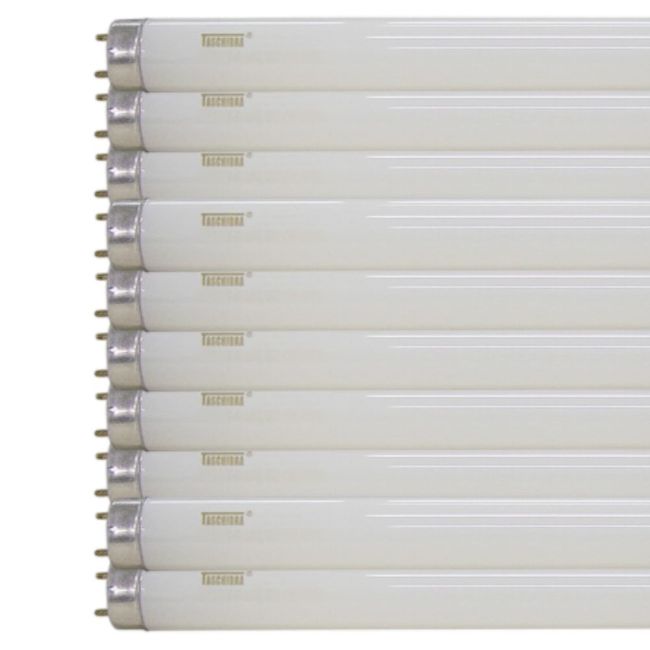 Kit-Economico-com-10-Lampadas-Fluorescente-Tubular-ConvElet-18W-T8-6400K-Taschibra--3-