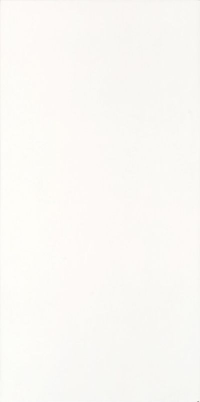 Porcelanato-Pure-White-Acetinado-50X100Cm-Esmaltado-Caixa-2M2-Elizabeth-2516969-1