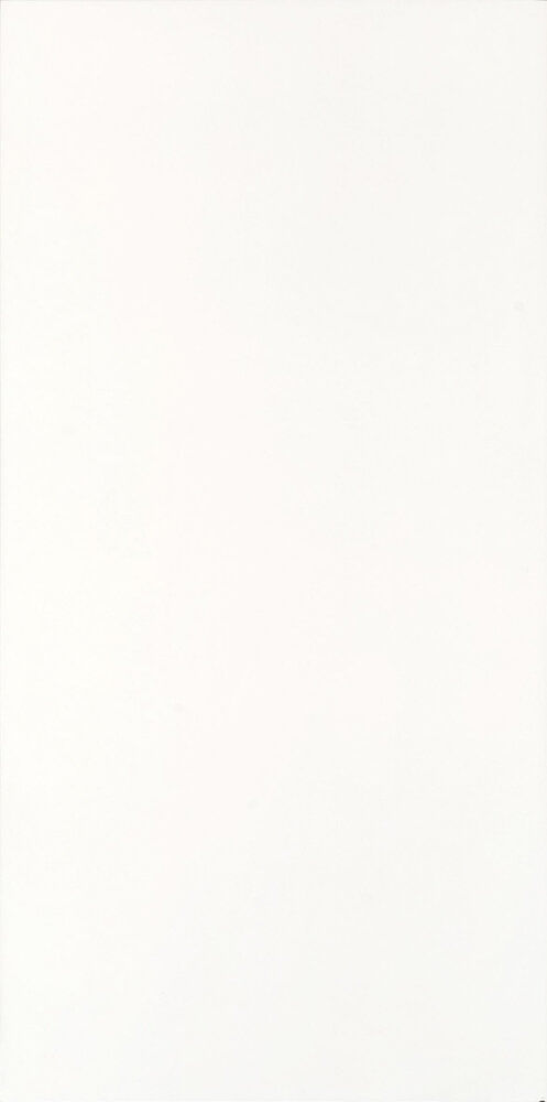 Porcelanato-Pure-White-Acetinado-50X100Cm-Esmaltado-Caixa-2M2-Elizabeth-2516969-1