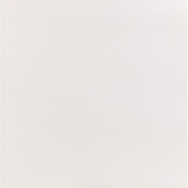 Porcelanato-Bianco-Master-Natural-60X60Cm-Polido-Caixa-180M2-Elizabeth-2521059-1