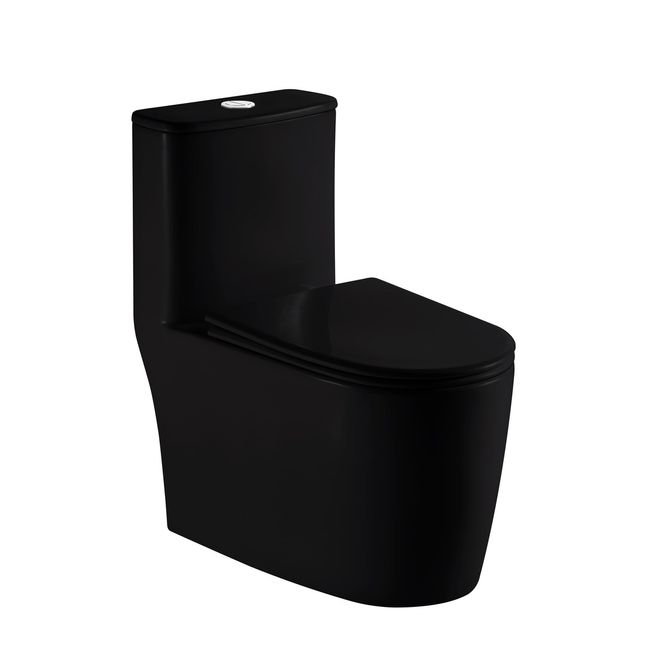 Kit-Bacia-Com-Caixa-Acoplada-Orion-Preto-Alterna-2521911