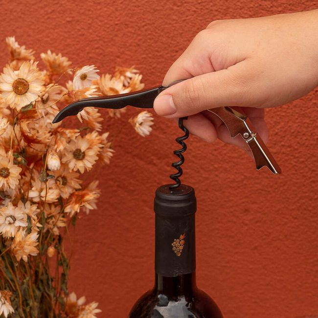 Abridor-De-Garrafa-E-Vinho-Mozcadapreto-2539152-2