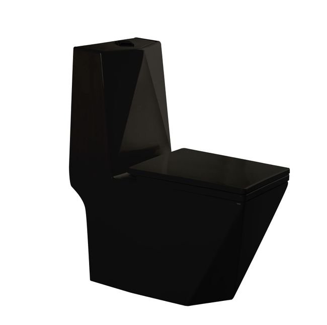 Vaso-Sanitario-Monobloco-Pegasus-Preto-Alterna-2521903-1