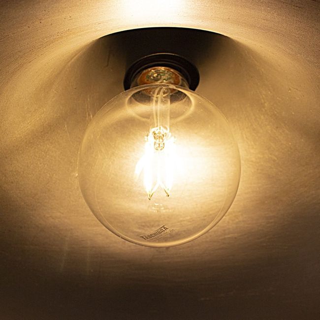 Lâmpada Led Filamento Vintage Globo G80 4W Autovolt Âmbar Taschibra