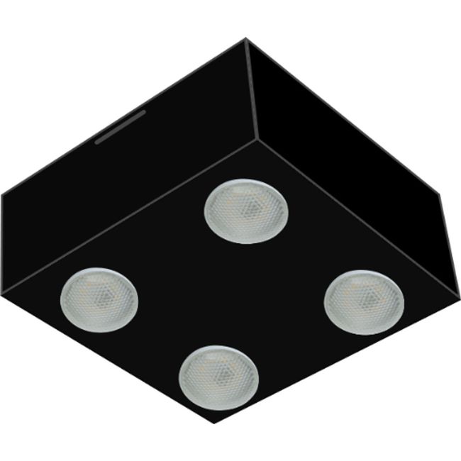 2391031-Image-1