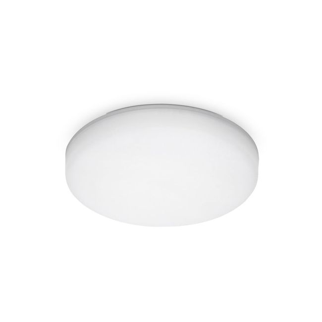 2341557-Image-1