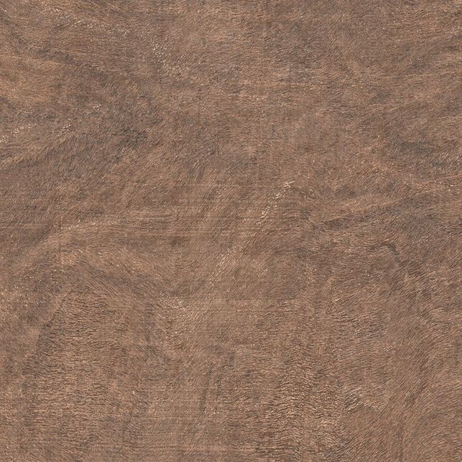 Porcelanato-Itatiaia-Carv-Ac-19-7X120-Elizabeth-2620936-1