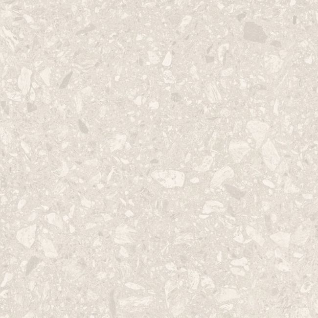 2593203-Image-1