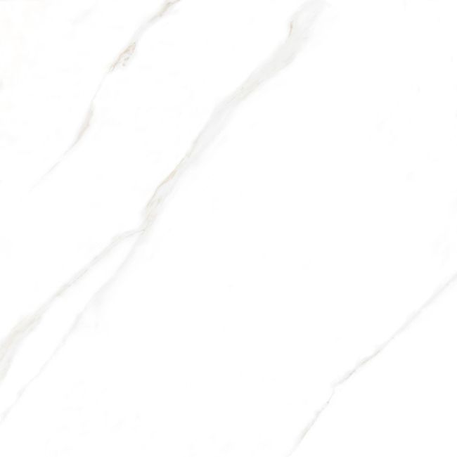 2524694-Image-1