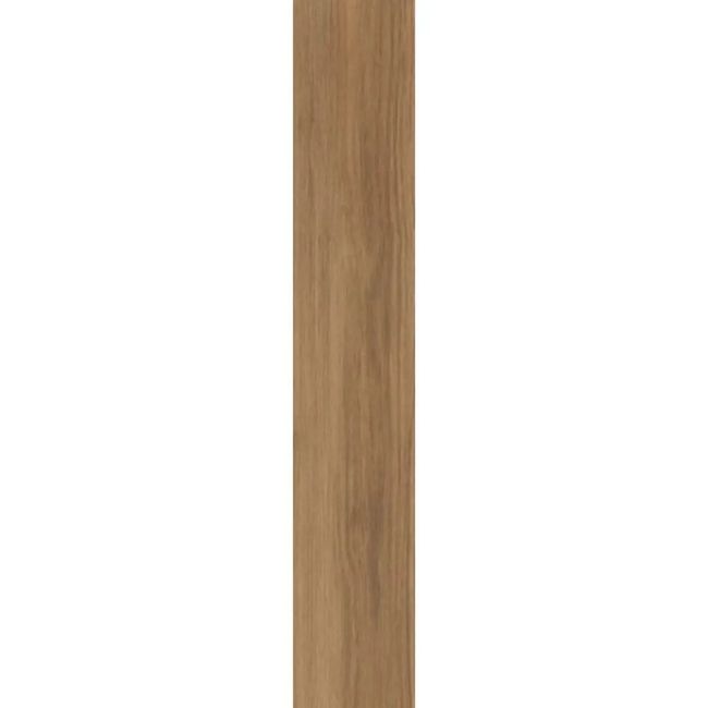 2481529-Image-1
