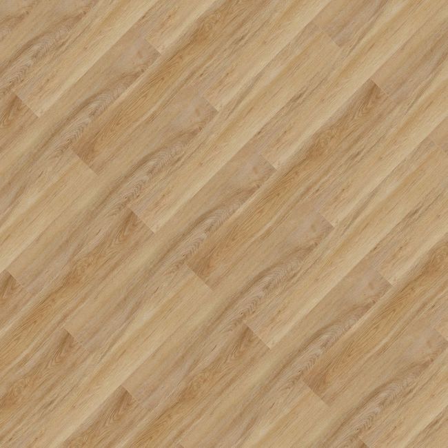 2540053-Image-1