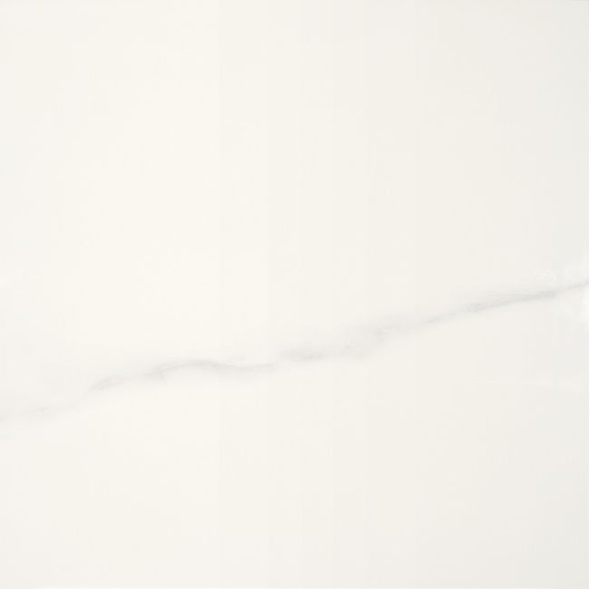 2547791-Image-1