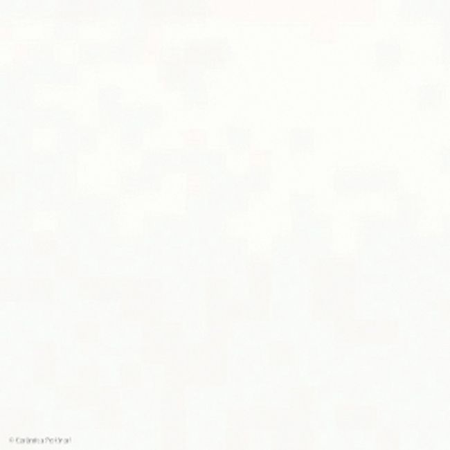 1287109-Image-1