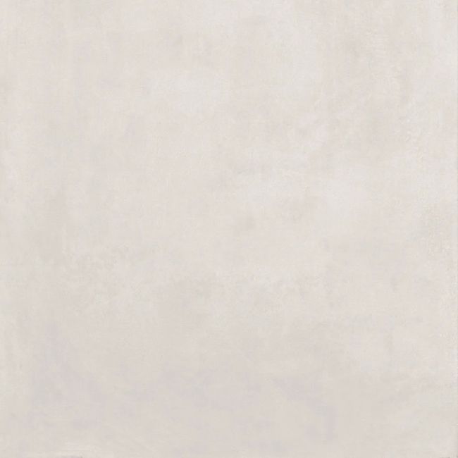 2441330-Image-1