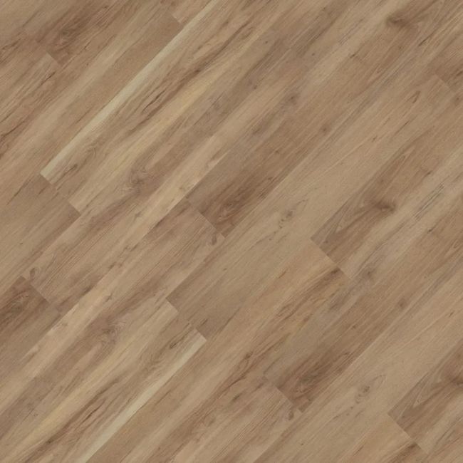 2539993-Image-1