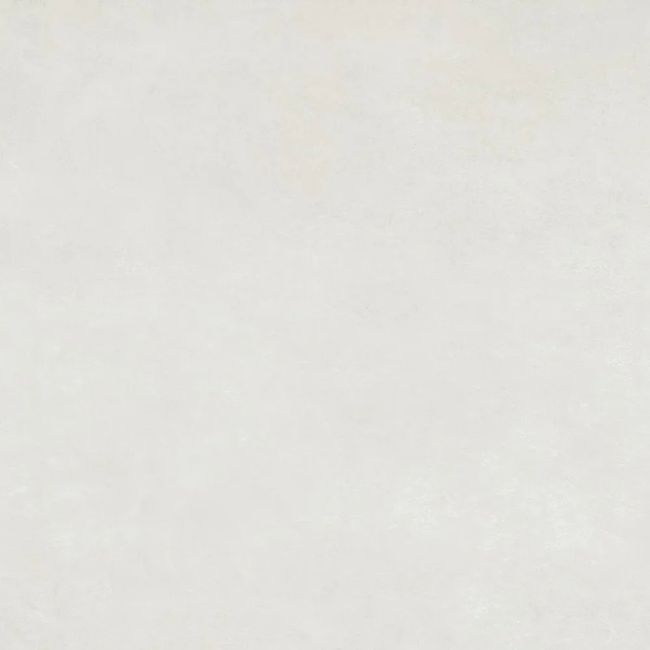 2524759-Image-1