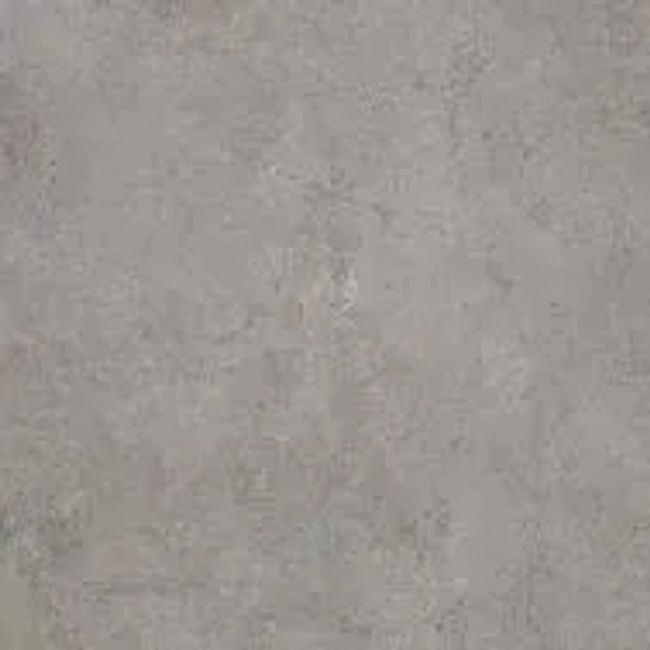 2452642-Image-1