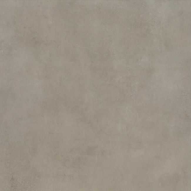 2513900-Image-1