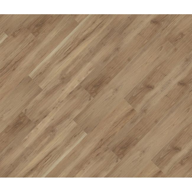 2321980-Image-1