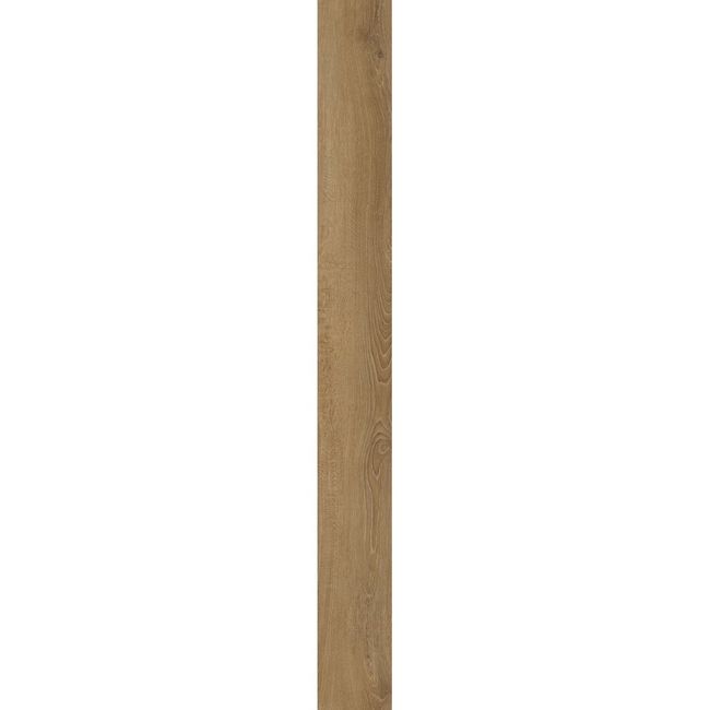 2499517-Image-1