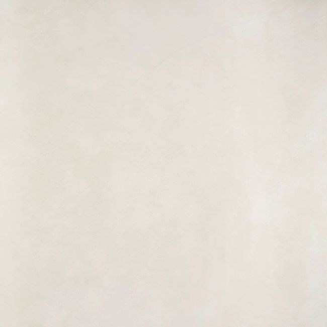 2448459-Image-1