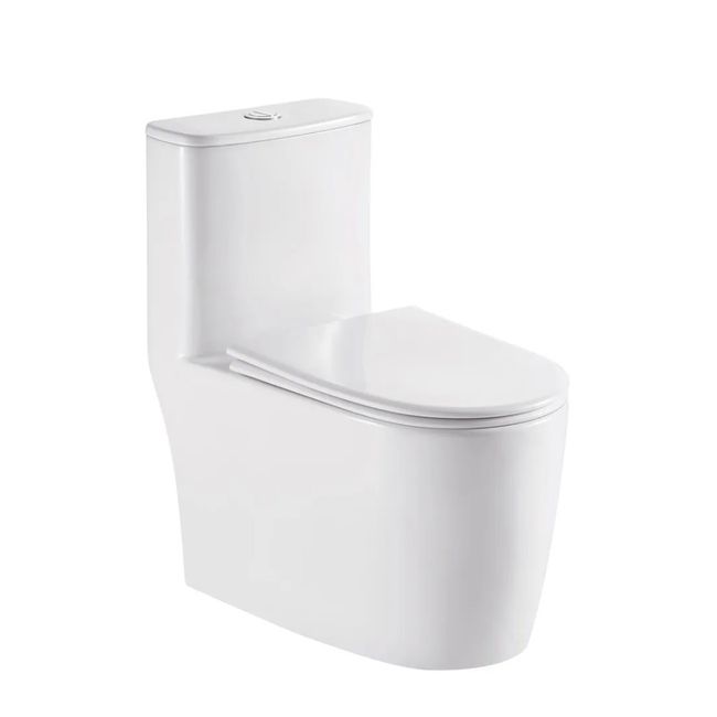 Vaso Sanitário Monobloco Orion Branco Alterna