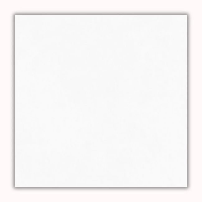 Porcelanato Croma Polido Retificado 87,7x87,7cm Branco Portinari