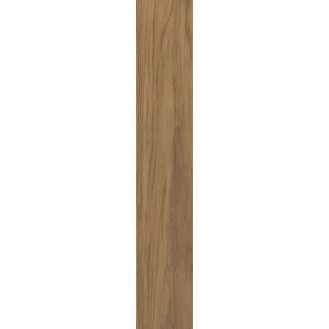 2481510-Image-1