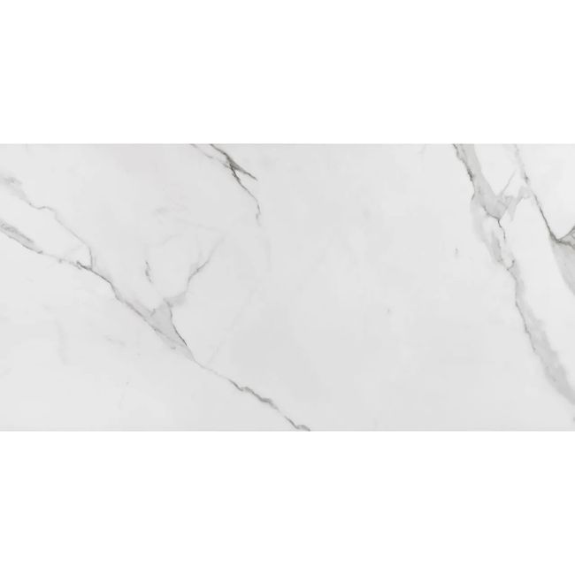 Porcelanato Place 60x120cm Acetinado Eliane