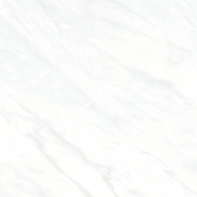 2519852-Image-1