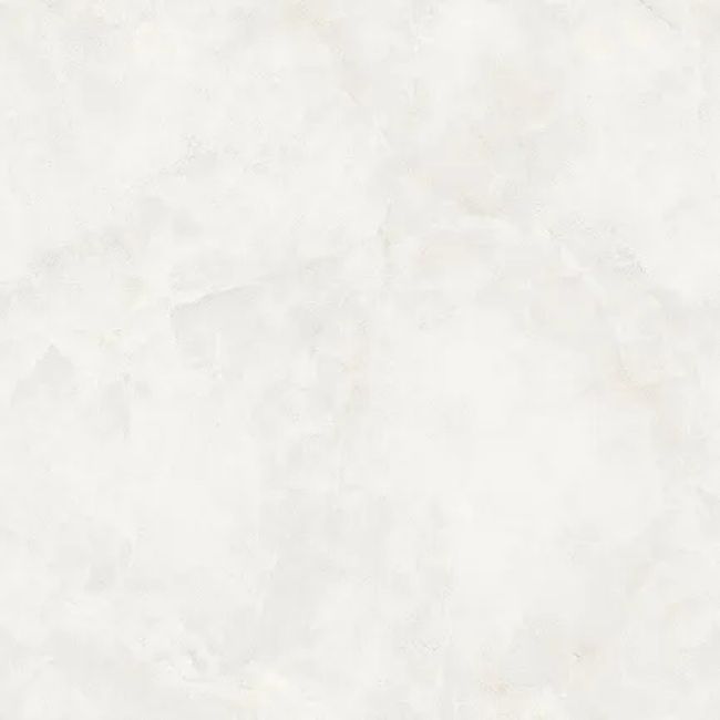 2446626-Image-1