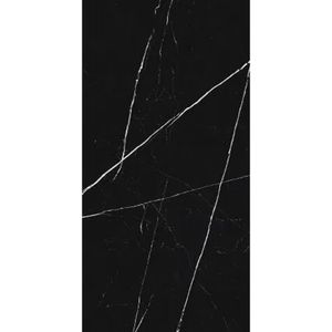 Porcelanato Esmaltado Polido 60x120cm Caixa com 2,20 m² Preto Royal Black Lux Biancogres