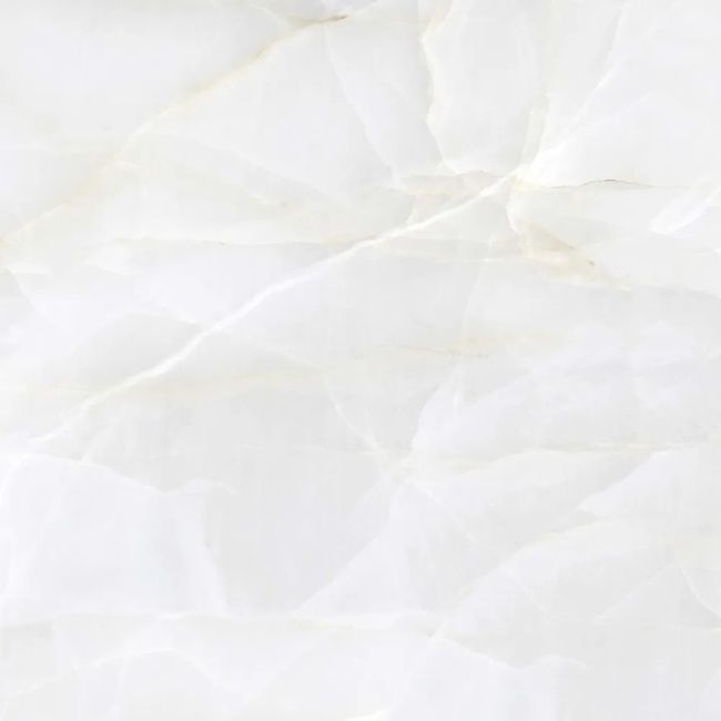 2519674-Image-1