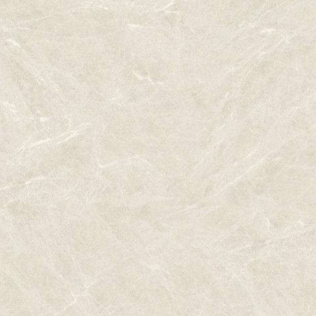 2538431-Image-1
