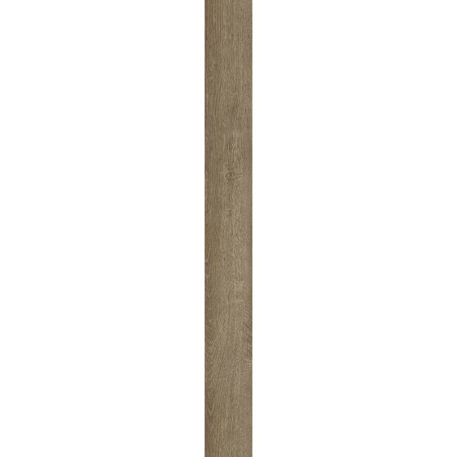2499525-Image-1