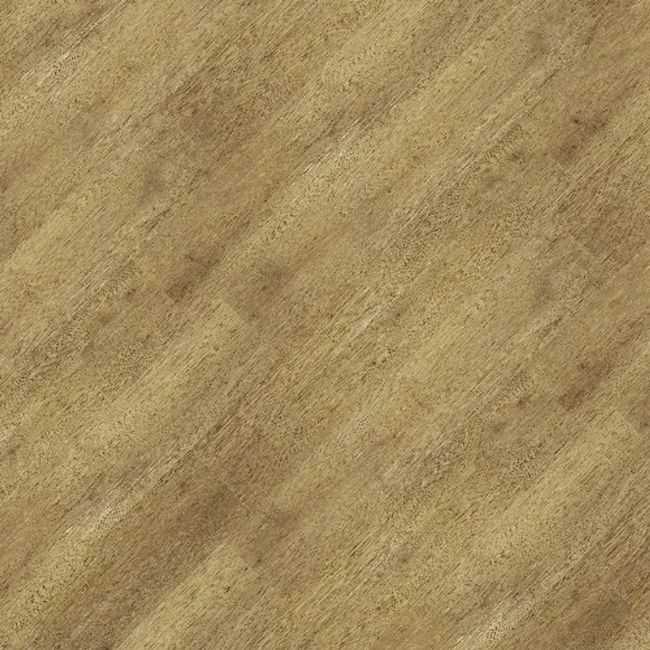 2443678-Image-1