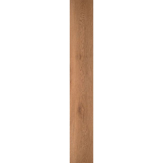 2432501-Image-1