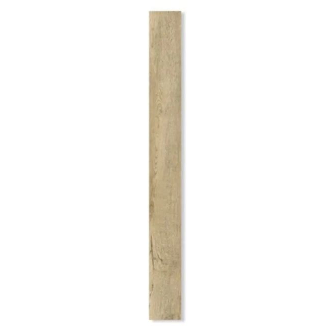 2499550-Image-1