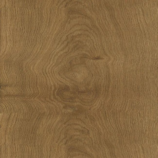 2554941-Image-1